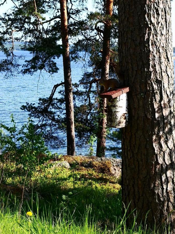 Club House Hotelli Kaipolan Ranta Йямся Екстер'єр фото